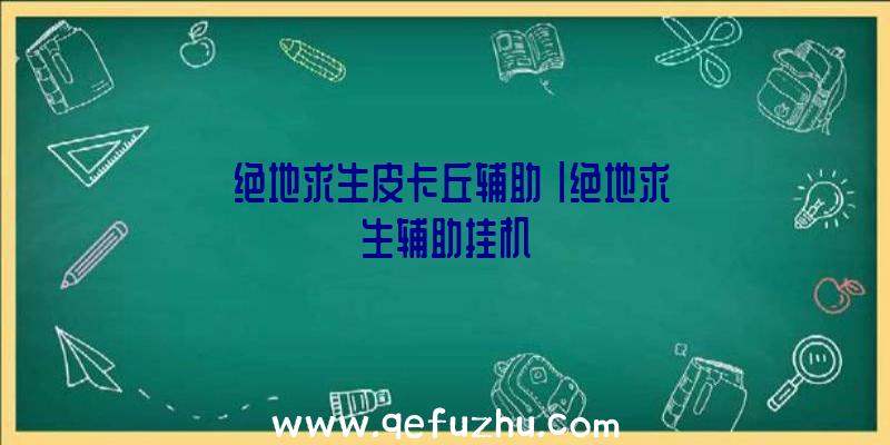 「绝地求生皮卡丘辅助」|绝地求生辅助挂机